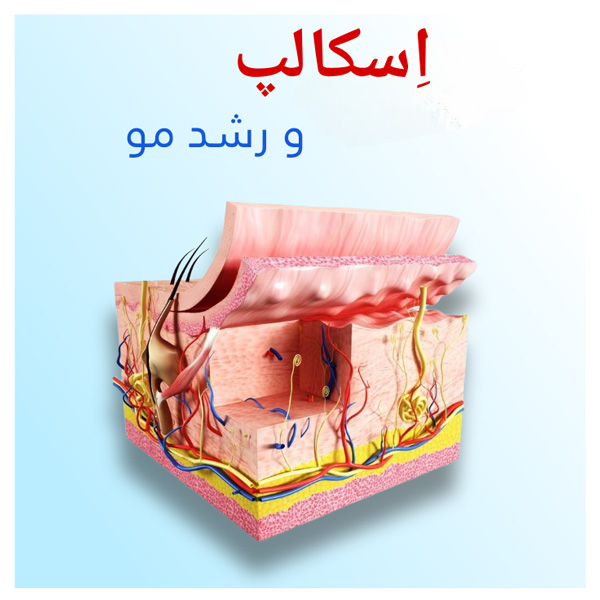 اسکالپ سر