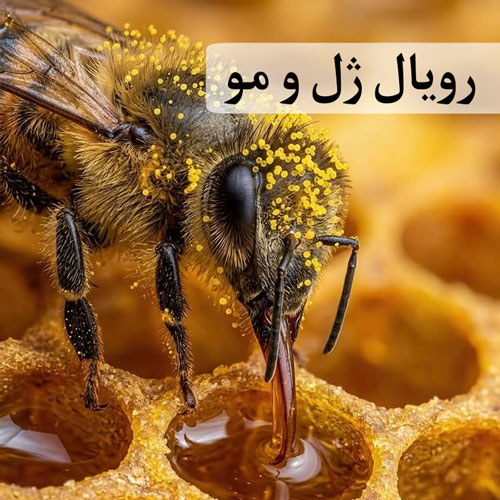 ژل رویال و مو
